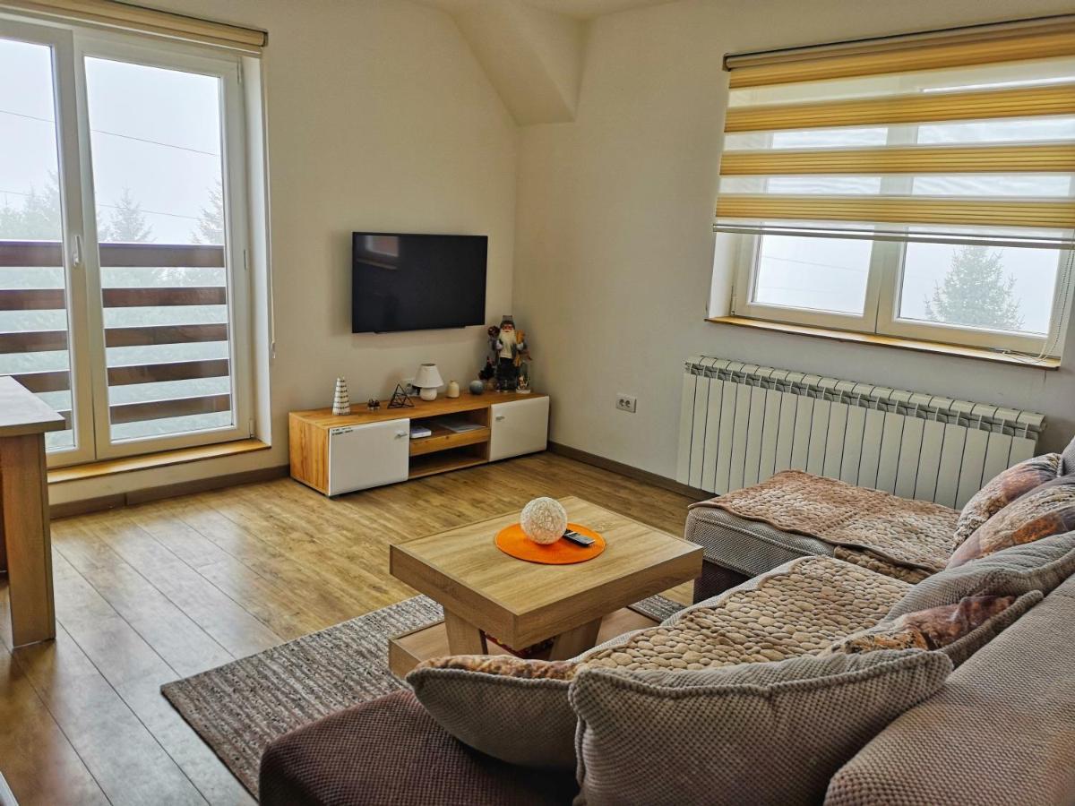 Iznad Oblaka Apartman 8 科帕奥尼克 外观 照片