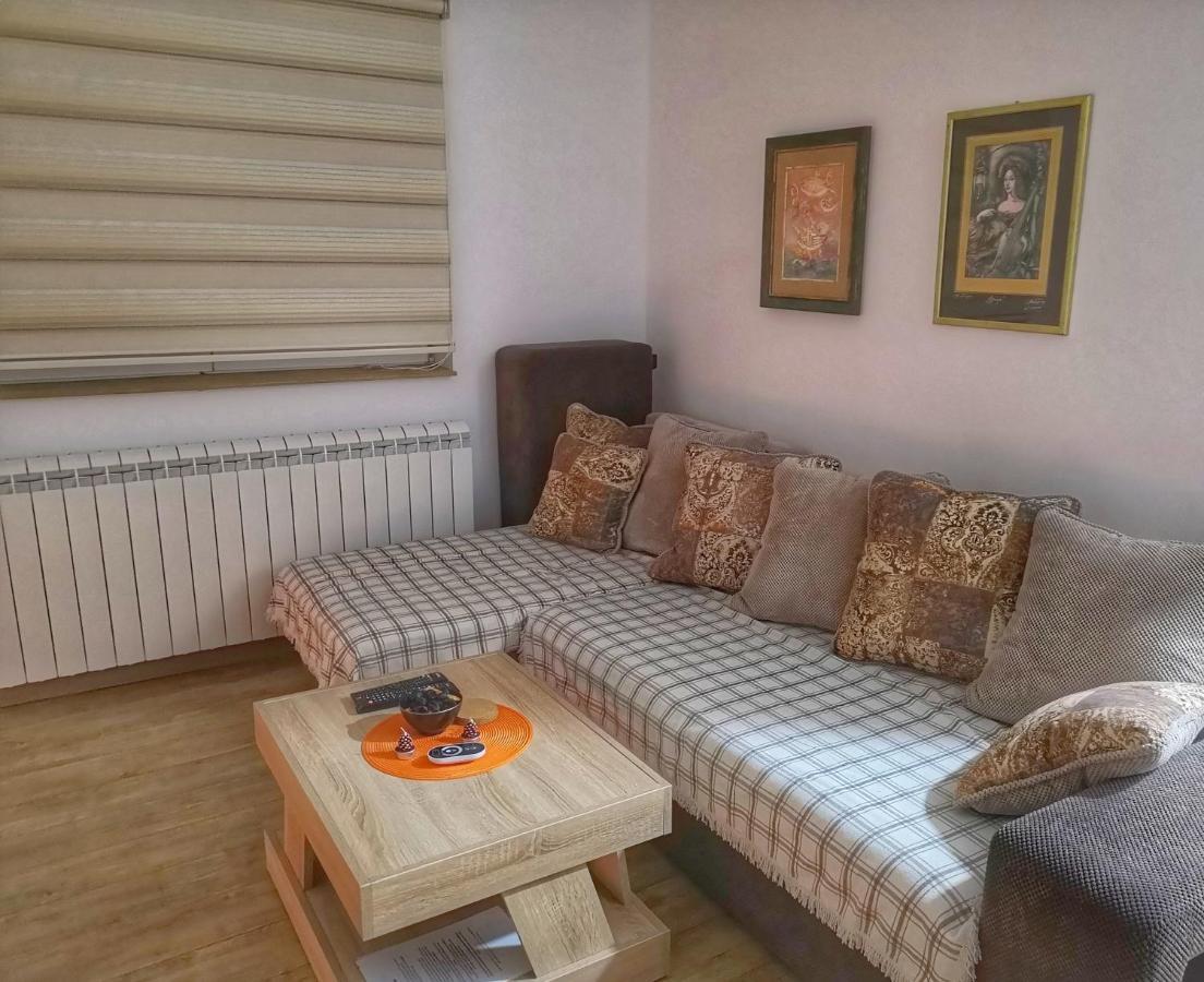 Iznad Oblaka Apartman 8 科帕奥尼克 外观 照片